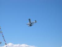 img_3559.JPG