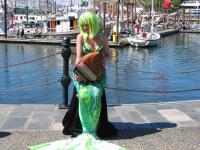 img_3578.JPG