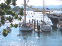 img_3613.JPG