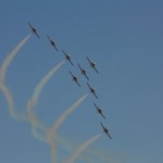 Snowbirds