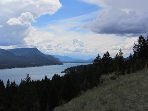 IMG_0806-001