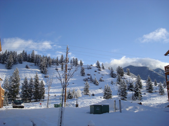 DSC04014