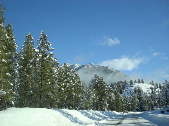 DSC04040