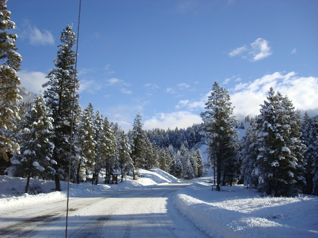 DSC04042