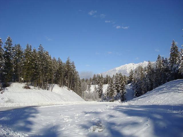 DSC04051