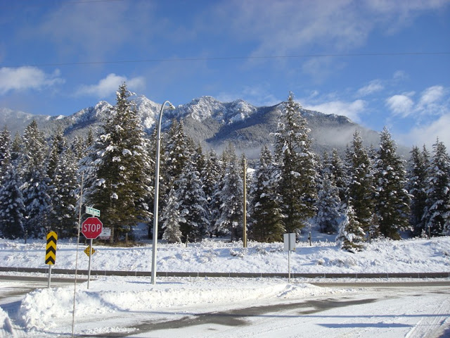 DSC04067